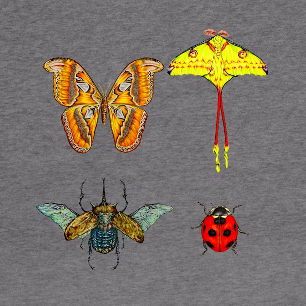 4 color Insects by Redmonks